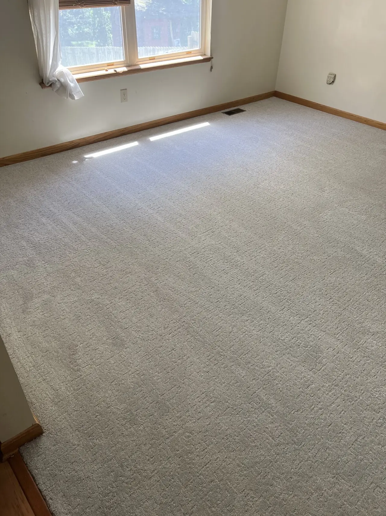 Soft carpet in a bright bedroom