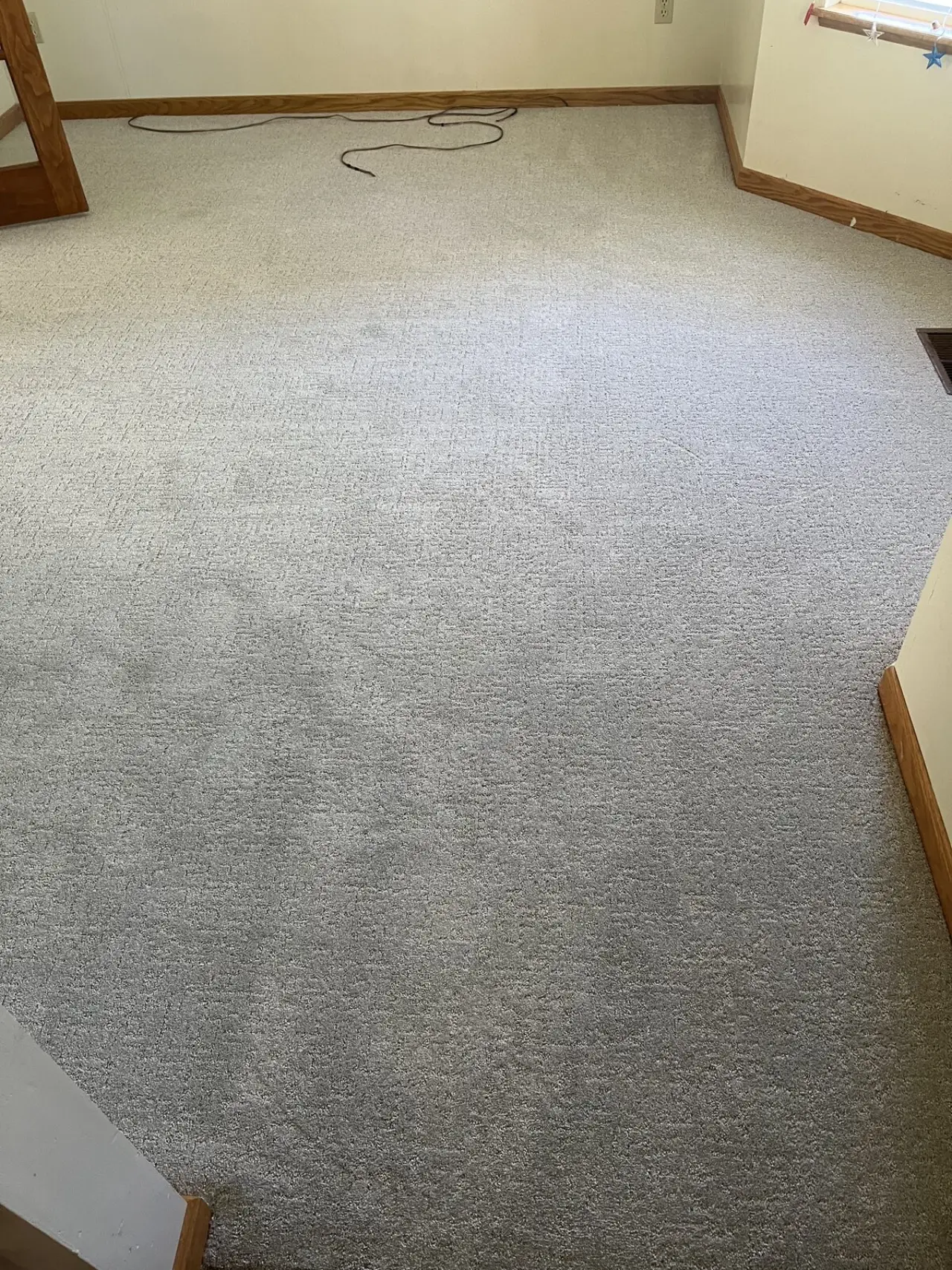 Fresh carpet in a living room