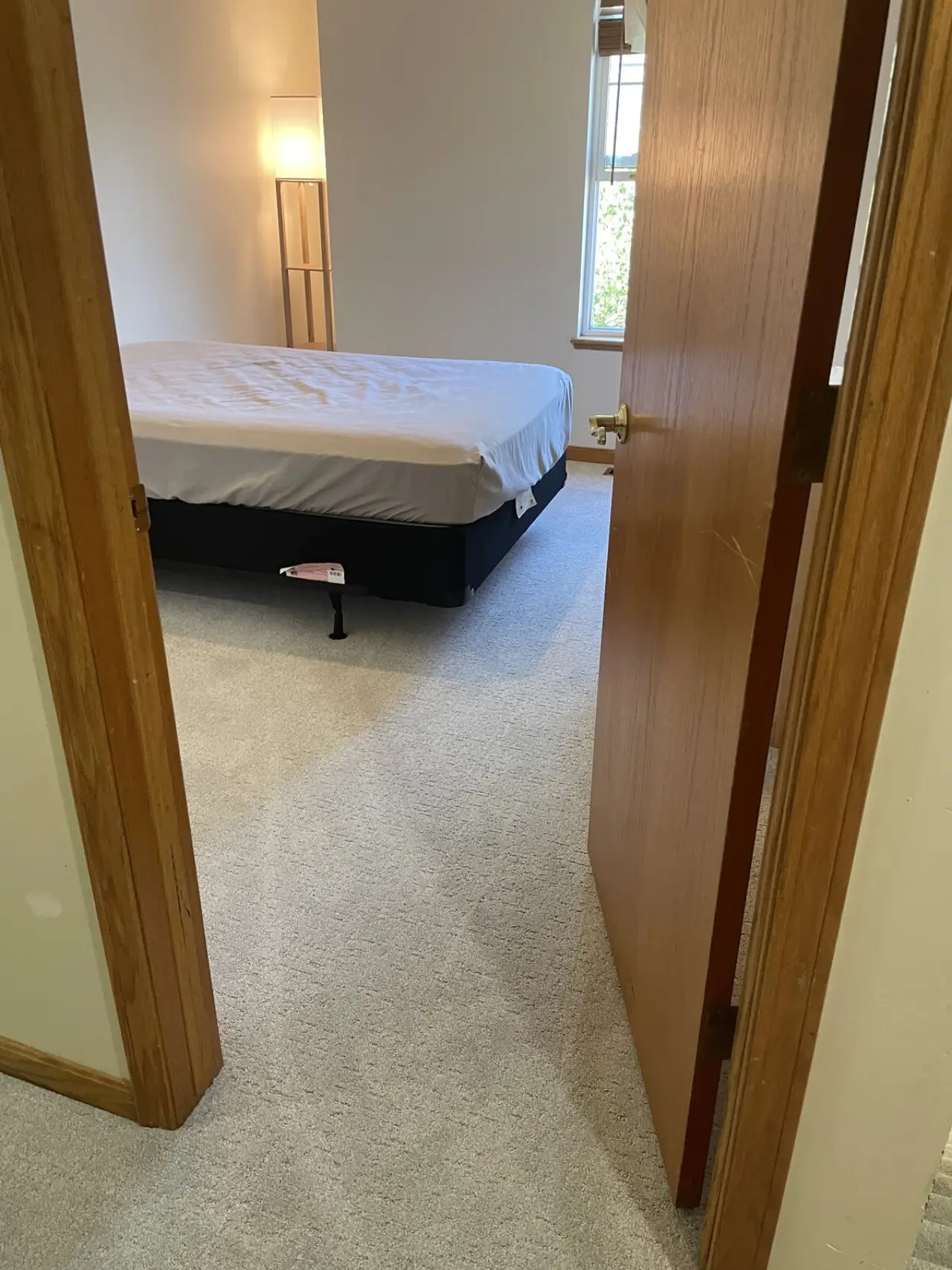 Cozy carpet in a guest bedroom