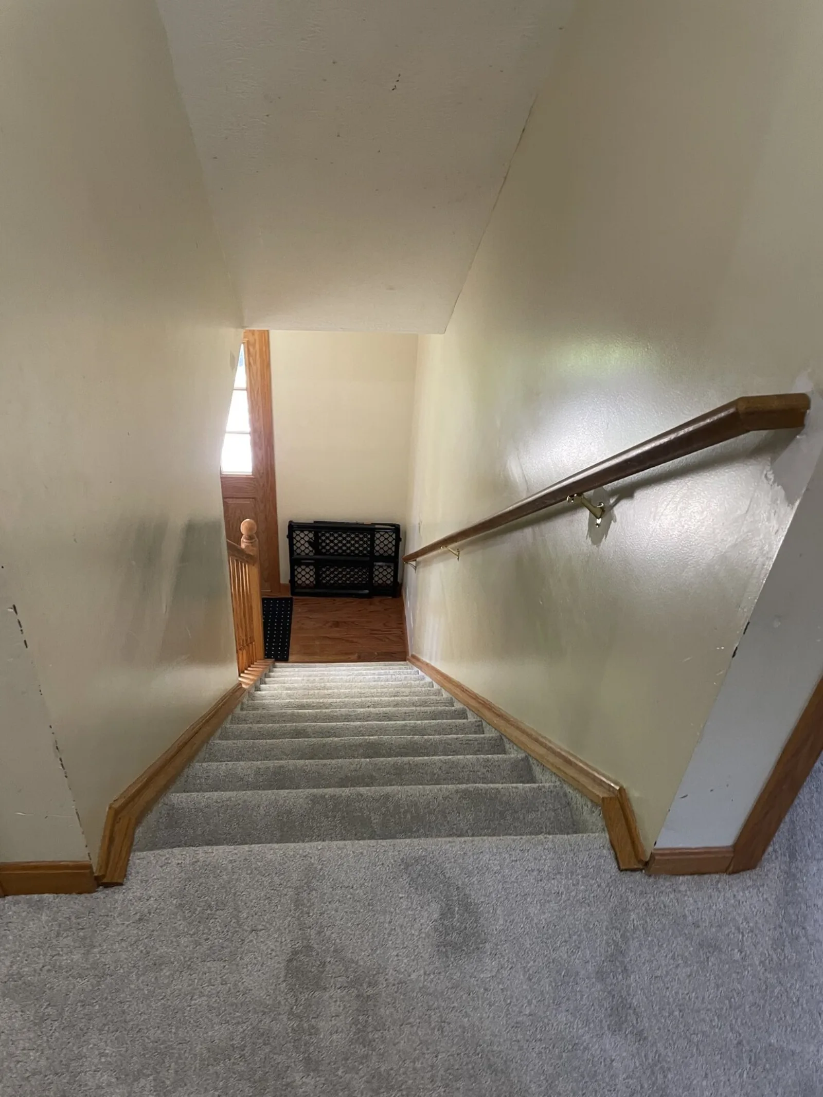 Carpeted staircase